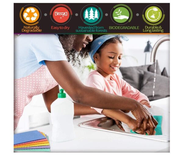 Sustainable Cellulose Dish Towel 12 Pcs Set